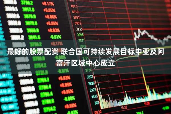 最好的股票配资 联合国可持续发展目标中亚及阿富汗区域中心成立